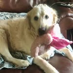 Debbie Hansow Reardon - @debrareardon - Instagram