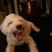 Deborah Reardon - Facebook