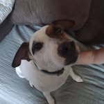 Deborah Mccarron Redden - @deborahredden9 - Instagram