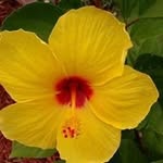 Debra Redding Watkins - @reddingwatkins - Instagram