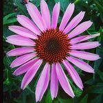 Debra Lynn Reddy - @debreddy - Instagram