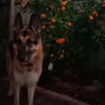 Deb Redpath - @debredpath - Instagram