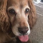 Debra Rees - @debraarees - Instagram