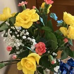 Debra Rees - @rees_debra - Instagram