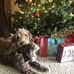 Debra Register - Facebook