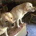 Debra Register - Facebook