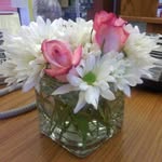 Debra Register - @registerdebra - Instagram