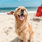Deb Reitz - @debreitz7 - Instagram