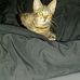 Debbie Renfro - Facebook