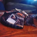 Debra Renfro - @6hostberry560 - Instagram