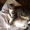 😸😸😸😸 - @debrarenfro6 - TikTok