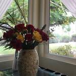 Deb Renick - @debrenick - Instagram