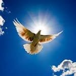 Debra Renick - @debrarenick - Instagram