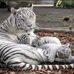 Debra Rhea - Facebook
