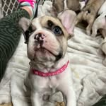 Debra Ricketts Boles - @they_call_me_cozi - Instagram