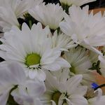 Debra Riddlebaugh - @debrariddlebaugh - Instagram