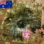 Debra Ring - @debra.ring.12 - Instagram