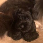 Debra Rochefort - @debrarochefort - Instagram