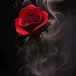 Debra Rollins Small - @deb.small.395 - Instagram