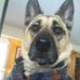 Debra Rosenbaum - Facebook