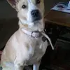 Debra Salazar - @debra.salazar - TikTok