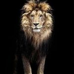 Debra Salazar - @debra.salazar.399 - Instagram