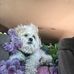 Debra Saltzmana - Facebook