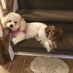 Debra Schofield - @gandldero - Instagram