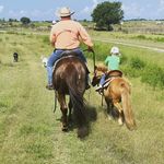 Deborah Seay - @debra.seay.9 - Instagram
