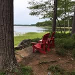 Deborah Settle - @deborah.settle.me - Instagram