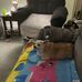 Debra Settle - Facebook