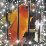 Debra J Shapiro - @debalalpn - Instagram