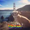 debrashapiro2021 - @debrashapiro2021 - TikTok