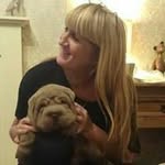 Debra Kent Dahlet Sharpei - @debrasharpei - Instagram