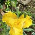 Debra Sharp - Facebook