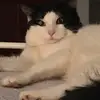 debrashea287 - @debrashea3 - TikTok