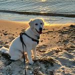 Deborah Sheets Shaffer - @dshaffer00 - Instagram