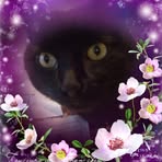 Debra Sheets - Facebook