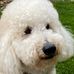 Debra Sheppard - Facebook