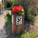 Debra Sherman - @dcsherman3 - Instagram