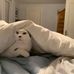 Debra Sherman - Facebook