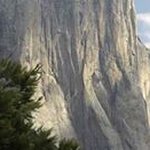 Debra Sherman - @shermandebra66 - Instagram