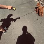 Debra Shields - @kaupojocke2 - Instagram