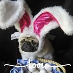 Debra Shields Harshman - @debra.harshman - Instagram