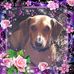 Debbie Shoffner - Facebook