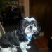 Deborah Shoffner - Facebook