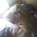 Debra Schenck - Facebook