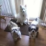 Debby Shuster - @shu.debra - Instagram