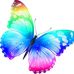 Debra Shuster - Facebook