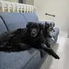 Debra Jones Siebert - @debra.jones.siebe - TikTok